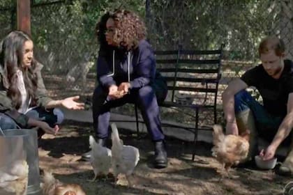 Oprah Winfrey hizo una parte de la entrevista con el príncipe Harry y su esposa Meghan en el gallinero de su mansión