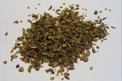 El orégano cuenta con múltiples usos dentro de la gastronomía.