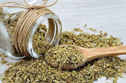 Orégano, un aliado natural y saludable (Foto: istock)
