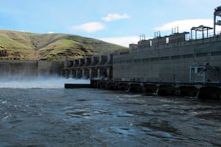 Oregon, Washington y tribus regresan a la corte luego que Trump canceló acuerdo que salvaría salmón