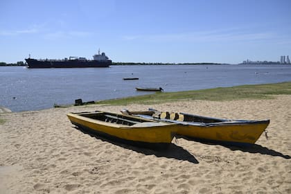 Organizaciones ambientalistas de la región del Litoral lanzaron el grito de alerta repetidas veces y desde hace tiempo: el estado de las poblaciones de sábalos en el delta medio del Paraná “es crítico”