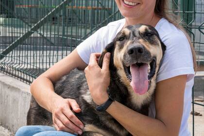 Organizaciones animalistas detallan el plan que pueden hacer los dueños