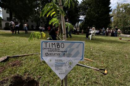 Organizaciones de derechos humanos plantaron árboles esta mañana en el Espacio Memoria y Derechos Humanos, ex Escuela de Mecánica de la Armada (exESMA)