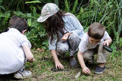 Organizar una búsqueda al aire libre ofrece una excelente oportunidad para estimular la observación de la naturaleza ya que, a través de las pistas, se puede focalizar la atención de chicos y grandes en distintos aspectos de la vegetación.