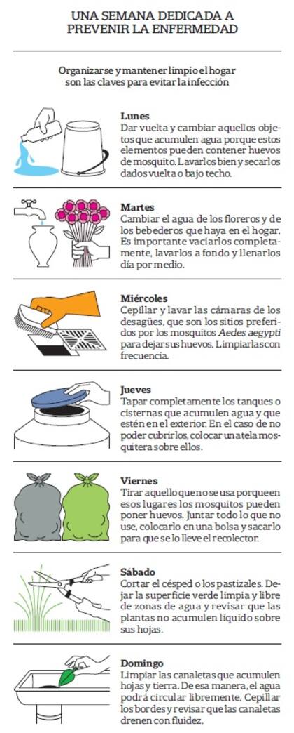 Organizarse y mantener limpio el hogar son las claves para evitar la infección