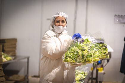 Orgullo local: cada productor aporta su trabajo para un producto final fresco y de calidad.