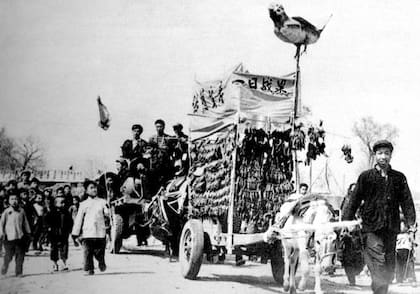 Orgullosa exhibición de gorriones muertos