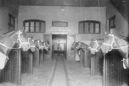 Originalmente el espacio fucionó como caballeriza de los carruajes presidenciales.