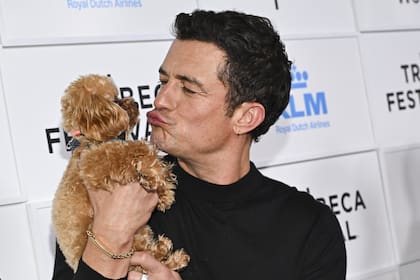 Orlando Bloom en la premiere de Deep Cover: Actores encubiertos en el Festival de Tribeca