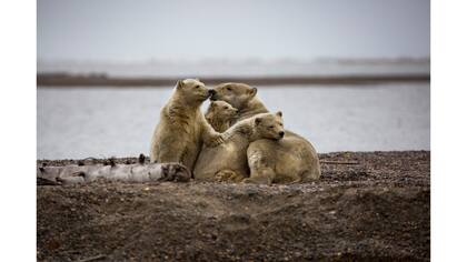Una madre con trillizos