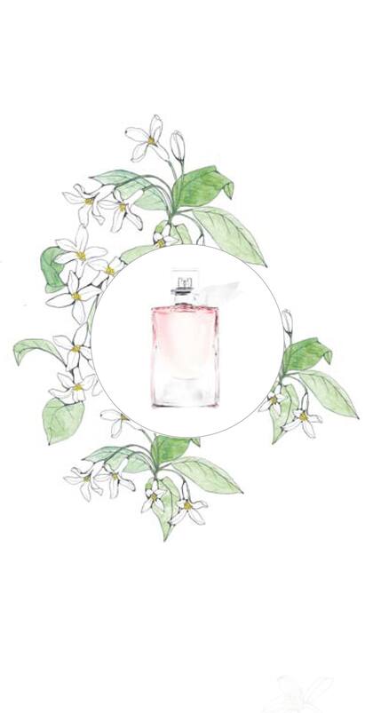 Osmanthus, La vie est belle florale