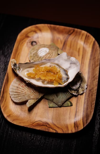 Ostra con granita tosazu.