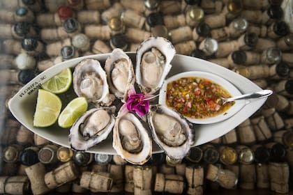 Ostras frescas que salen con lima.