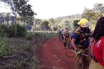 Unos 60 brigadistas, bomberos voluntarios y de la Policía de Misiones combatían hasta hoy contra las llamas en Yaboty