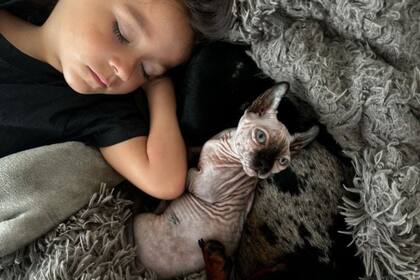 Otra de las famosas que adquirió este gato de medio millón de pesos es La Joaqui