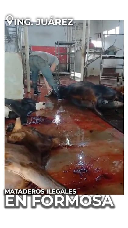 Otra de las fotos que Paoltroni hizo circular a los medios