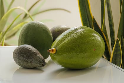 Otra de las razones por las que la palta podría ayudar a dormir mejor es su contenido de magnesio, triptófano y folato (Foto de carácter ilustrativo: PEXELS)