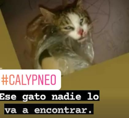 Otra de las víctimas de este adolescente