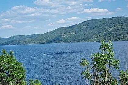 Otra fotografía que correspondería a Nessie sacada por Siobhan Janaway