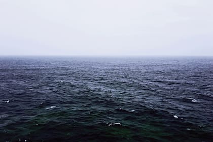 Otra hipótesis dice que podría existir una red de seres extraterrestres en las profundidades oceánicas