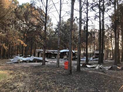 Otra imagen del paso de las llamas