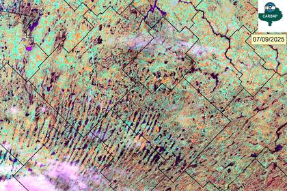 Otra imagen satelital sobre los anegamientos