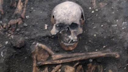 Otra muestra se tomó del esqueleto de un joven adulto varón de finales del siglo XIV enterrado en Cambridge (Reino Unido)