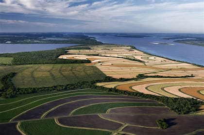 Otra pintura entrerriana. En Laguna Blanca, el trigo, en color verde; la tierra labrada, tonos violáceos; el gris blanquecino de la avena; los abonos verdes oscuros entre los cultivos; otro verde oscuro de los bosques nativos, y el marrón dorado del centeno