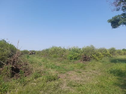 Otra postal de un desmonte
