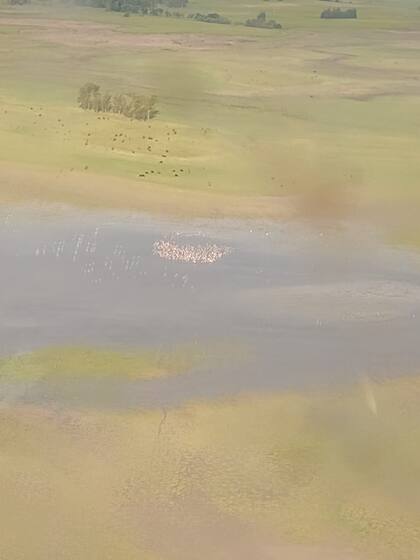 Otra zona de Bragado con un nivel reducido de su laguna