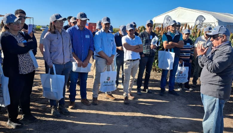 El sorgo, protagonista en Expo RAGT 2025 gracias a la tecnología de manejo y su potencial comercial