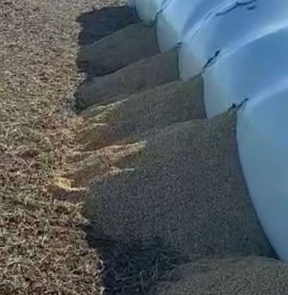 Otro ataque en un campo. Archivo