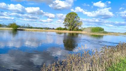 Otro campo bajo el agua en Bolívar