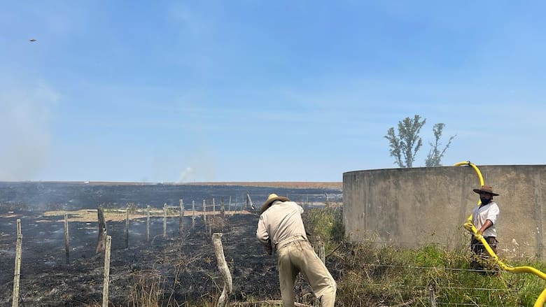 GDM Lanza Supra, Su Nueva Marca de Maíz para Argentina y Uruguay