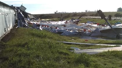 Otro de los galpones que sufrió el impacto del temporal