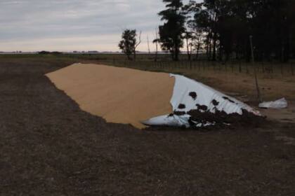 Otro de los silobolsas vandalizados