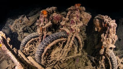 Otro destino predilecto a nivel global es el Mar Rojo, considerado una de las mecas de esta actividad