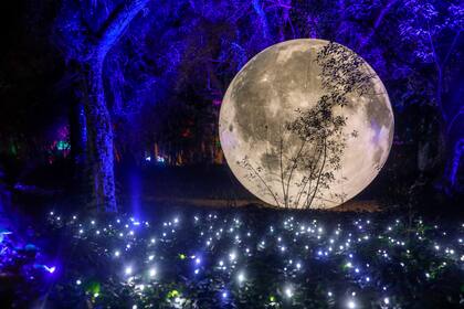 Otro escenario del recorrido de la experiencia lumínica Secret Garden, en el Jardín Botánico: lugar asegurado para una selfie