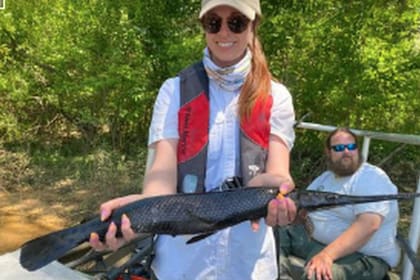 Otro pez sorprendió hace unos meses en Florida