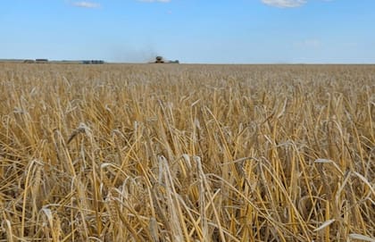 Otro punto fundamental es el de tomar y guardar muestras periódicamente para poder analizar la calidad