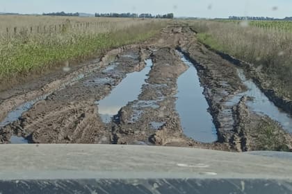 Otro tramo de un camino en mal estado