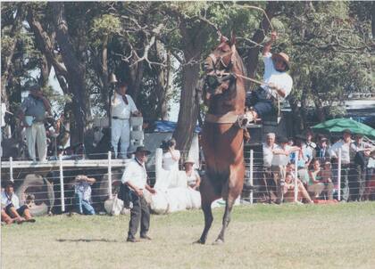 Otros tiempos. En Argentina, Massola en un campo de jineteada