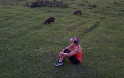 Otros tiempos, en el campo cuando todo estaba verde y los carpinchos vivían en su hábitat natural