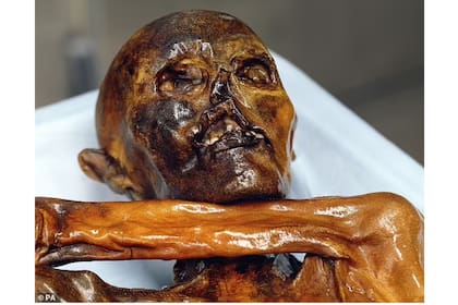 Ötzi, el Hombre de Hielo de más de 5.300 años, fue encontrado en los Alpes italianos 

