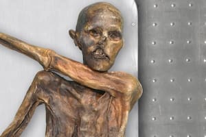 El hombre de hielo no está “inerte”: hallan bacterias vivas y microbios de hace 5000 años