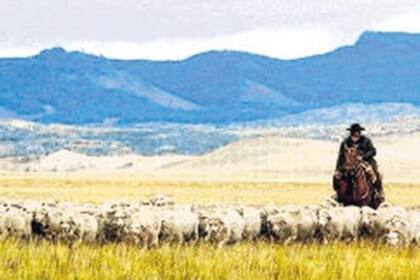 Ovis 21, una empresa cuyo modelo de negocios implica lograr una mayor rentabilidad para productores ovinos y una regeneración de pastizales en la Argentina, Chile y Uruguay