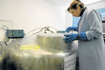 Fallo judicial: impiden a una mujer implantarse los embriones que congeló junto a su expareja