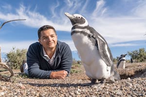 Quién es el biólogo argentino que ganó el "Nobel" de la conservación animal