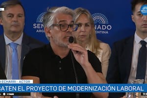 Pablo Echarri expuso en el Senado contra la reforma laboral y pidió eliminar tres artículos