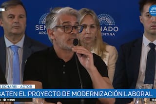 Pablo Echarri expuso en el Senado contra la reforma laboral y pidió eliminar tres artículos
